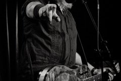 Blues sur Seine Fest, Paris 2013. Pic: Michel Froment